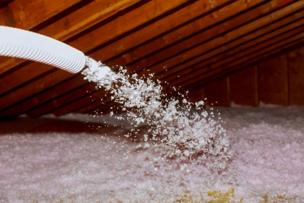 Best Insulation Replacement Services  in Mancelona, MI