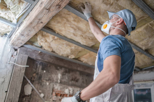 Best Residential Insulation Services  in Mancelona, MI