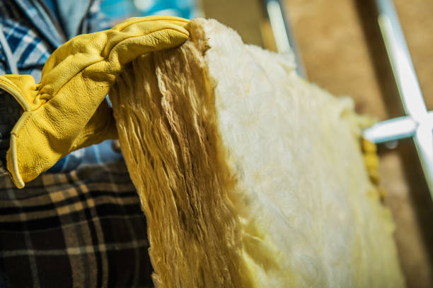 Best Insulation Contractor Near Me  in Mancelona, MI