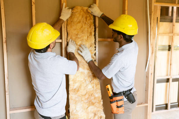 Best Commercial Insulation Contractor  in Mancelona, MI