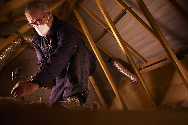 Best Affordable Insulation Services  in Mancelona, MI